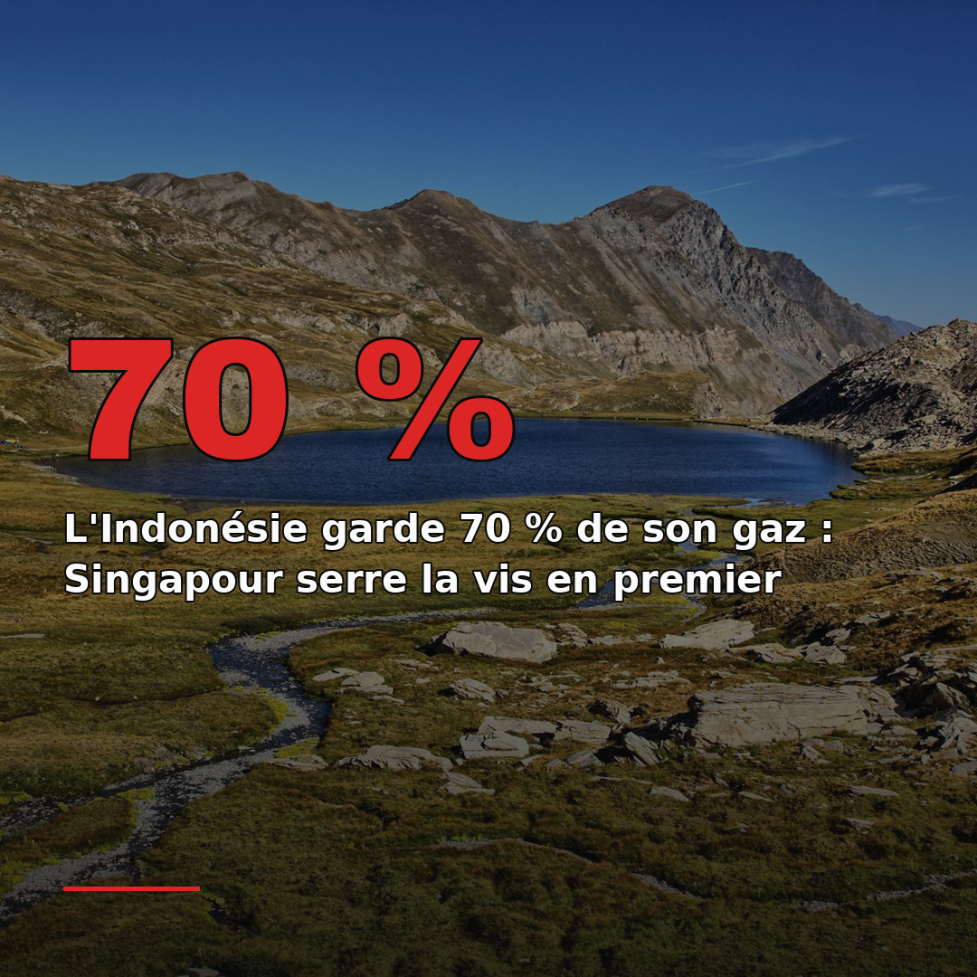 L'Indonésie garde 70 % de son gaz : Singapour serre la vis en premier