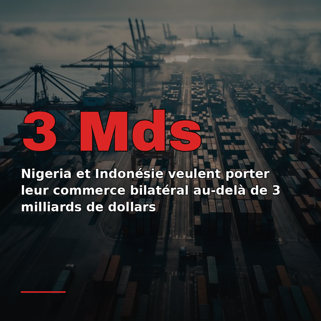 Nigeria et Indonésie veulent porter leur commerce bilatéral au-delà de 3 milliards de dollars