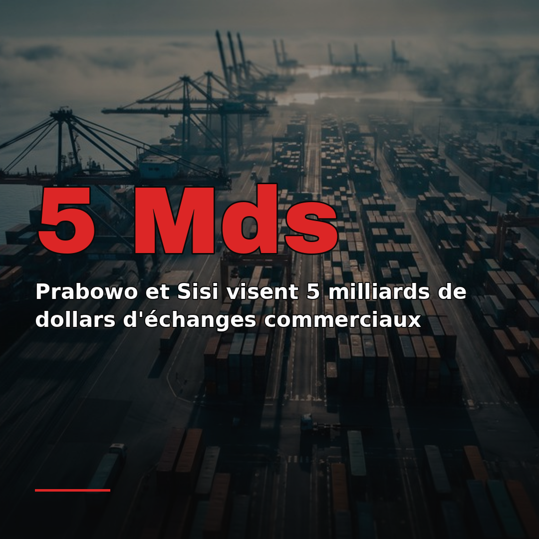 Prabowo et Sisi visent 5 milliards de dollars d'échanges commerciaux
