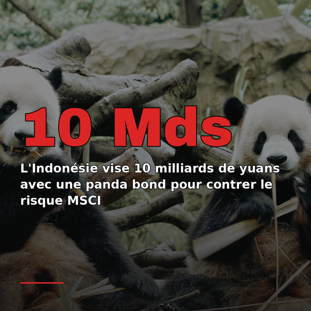 L'Indonésie vise 10 milliards de yuans avec une panda bond pour contrer le risque MSCI