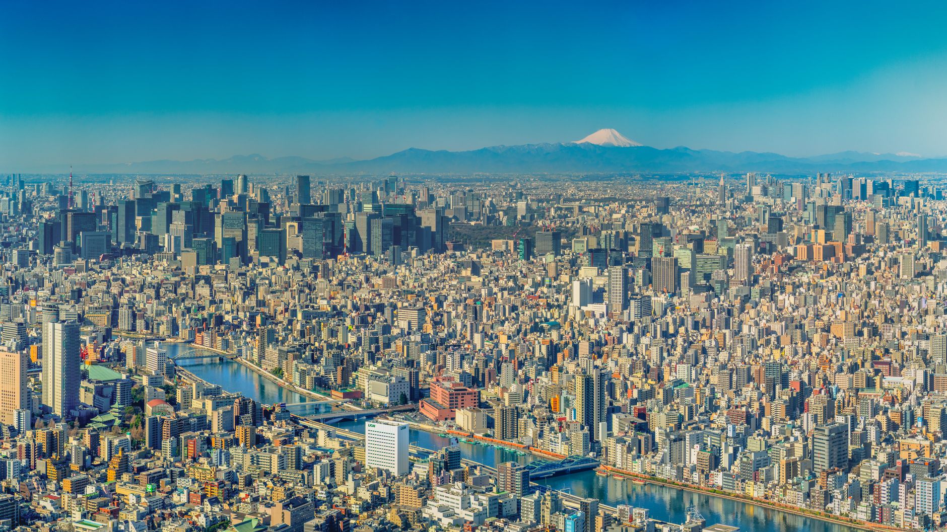 Obligations : les rendements américain et japonais au plus haut depuis des décennies