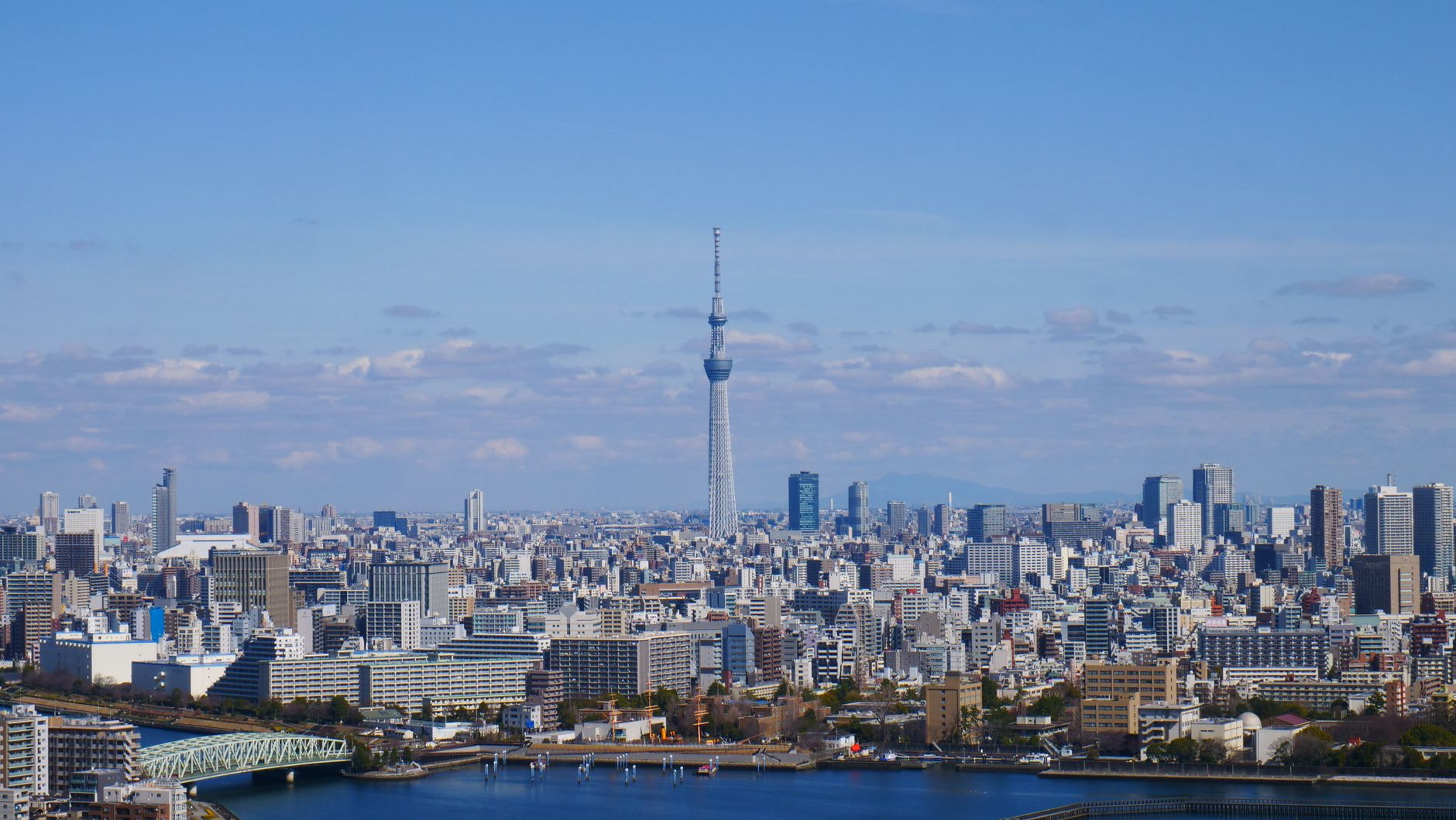 Au Japon, des humanoïdes assistent le personnel des maisons de retraite pour pallier la pénurie de main-d'œuvre