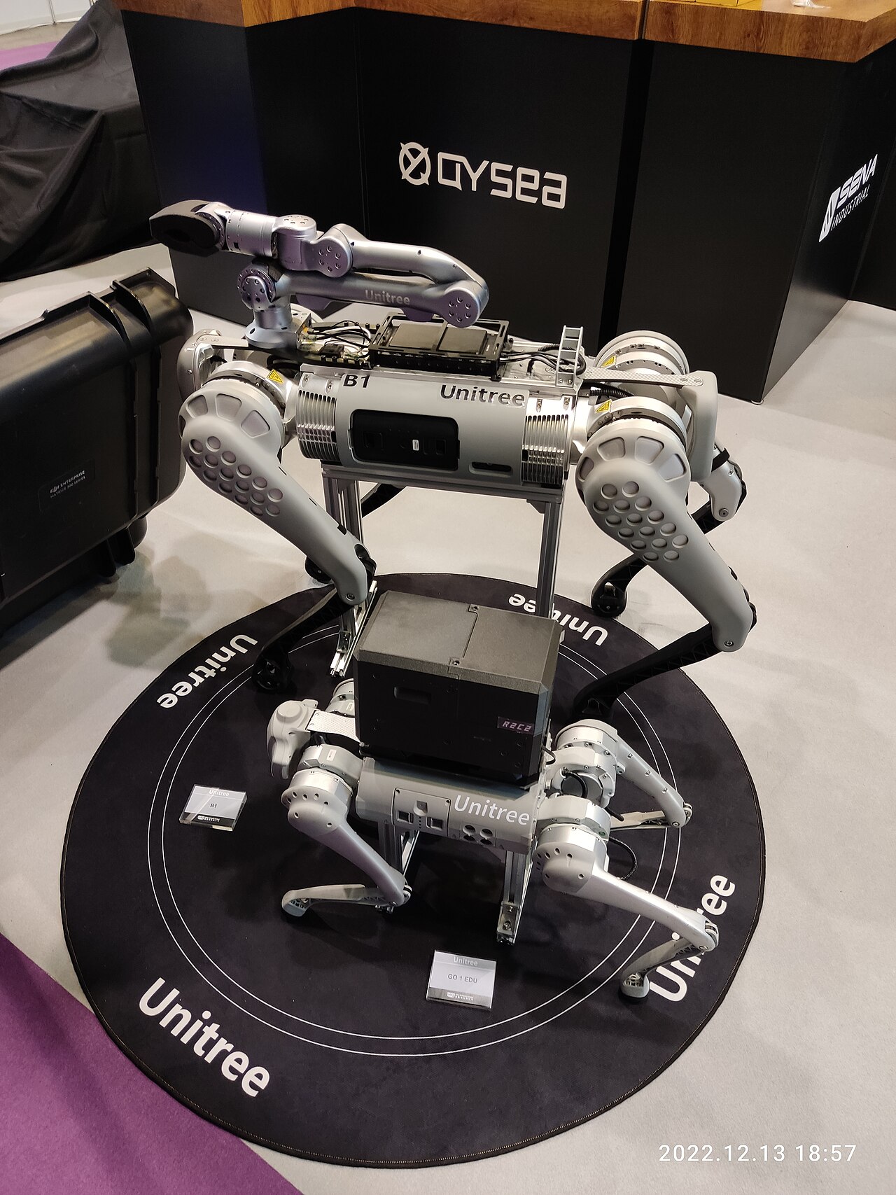 Unitree Robotics : l'action chute de 50% un mois après son introduction à Shanghai