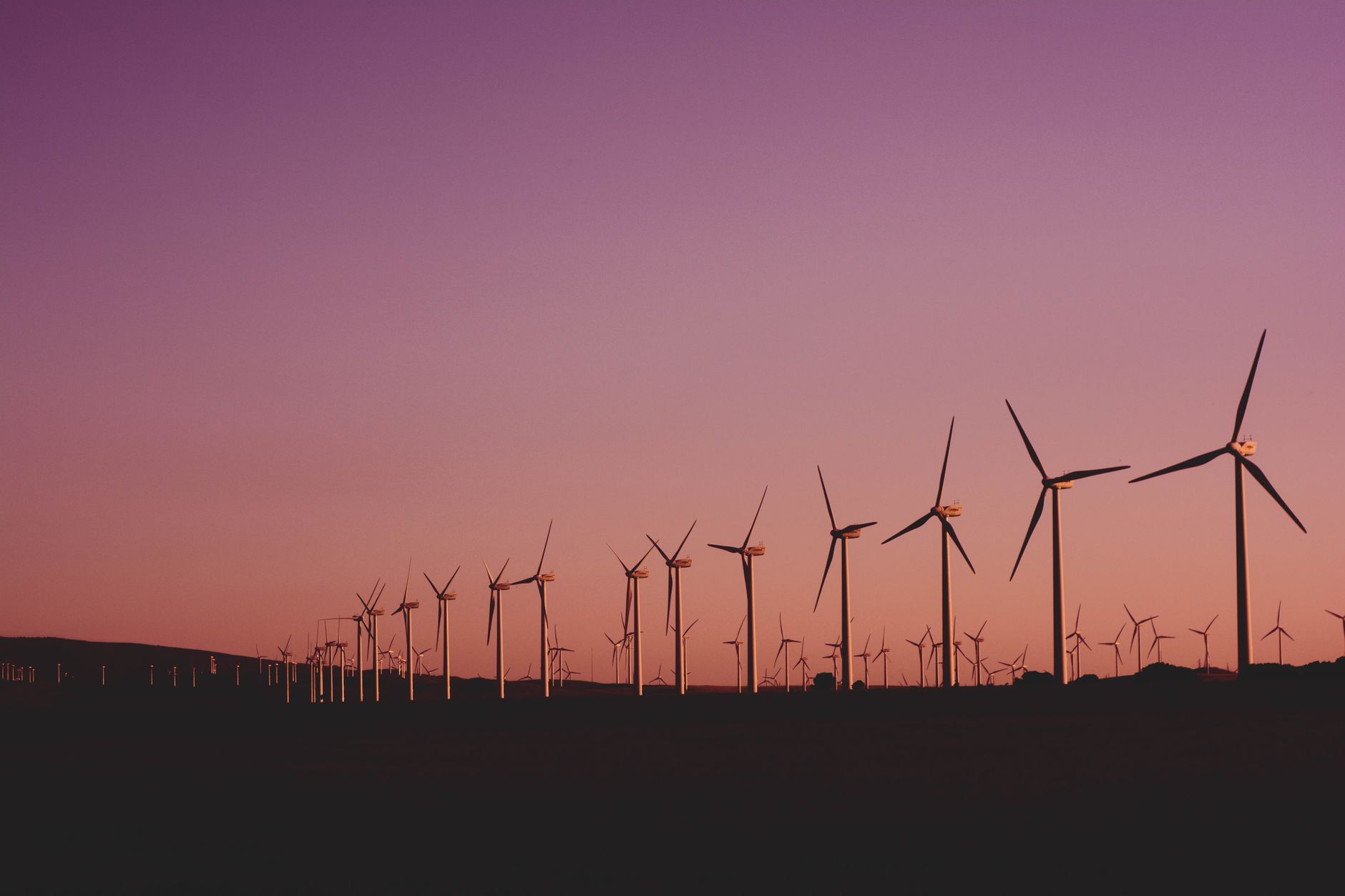 Tata Power Renewable double ses ajouts de capacité à 419 MW au T2