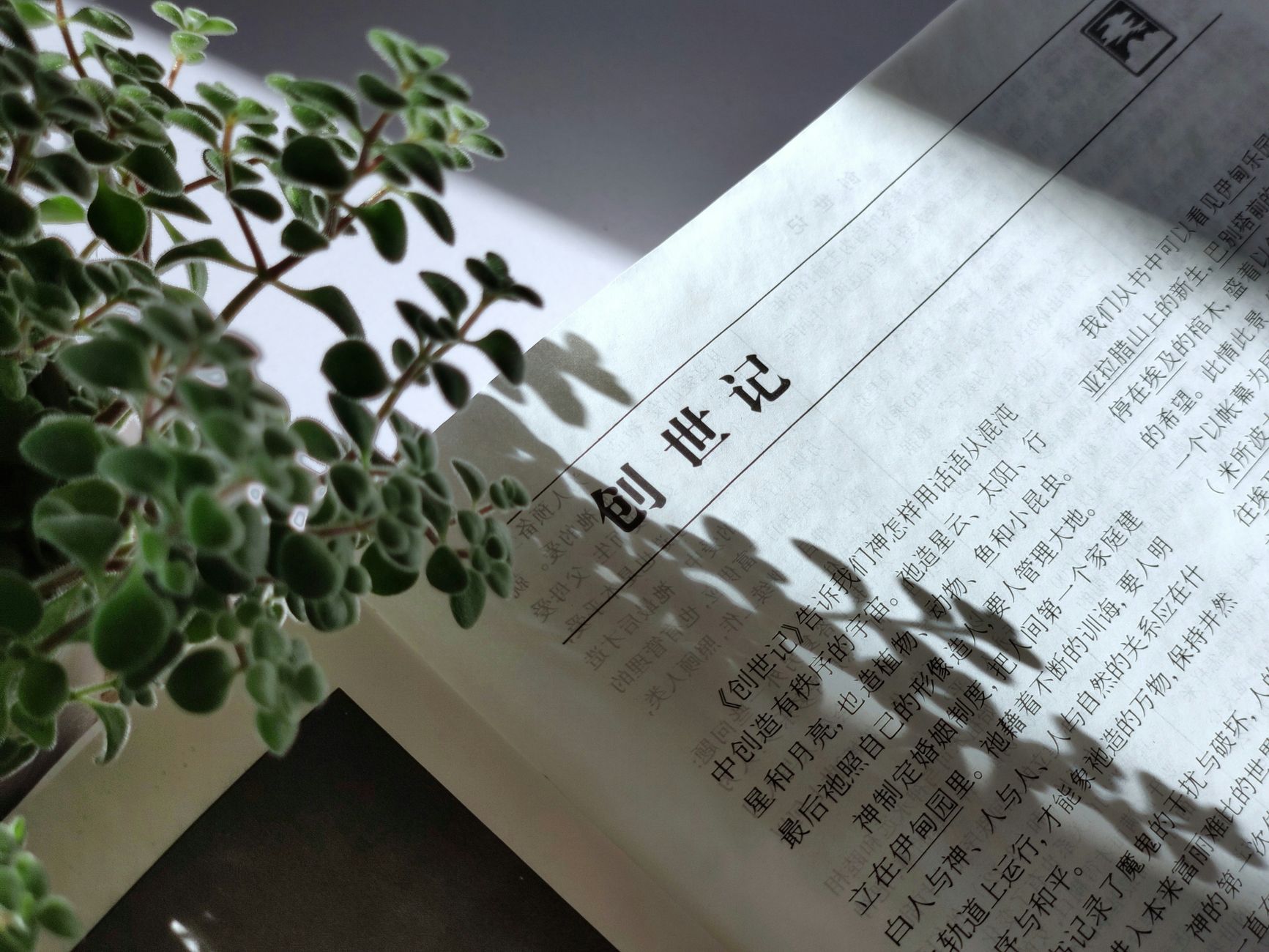 Semi-conducteurs chinois : le livre blanc Deloitte trace une mutation structurelle
